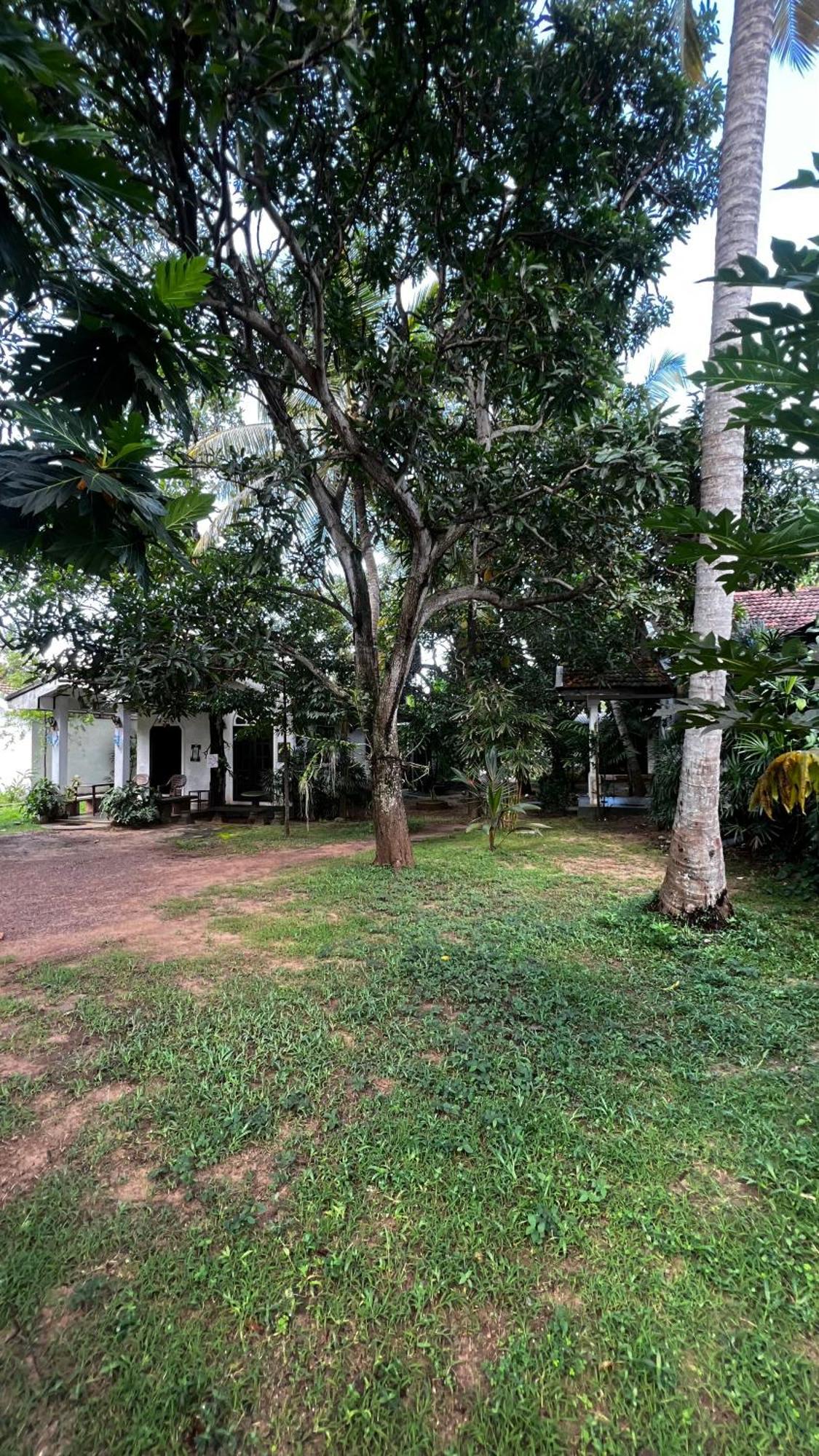 Sylvester Villa Hostel Negombo Exterior photo